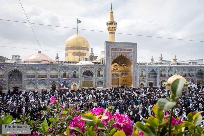 پی‌پینگ