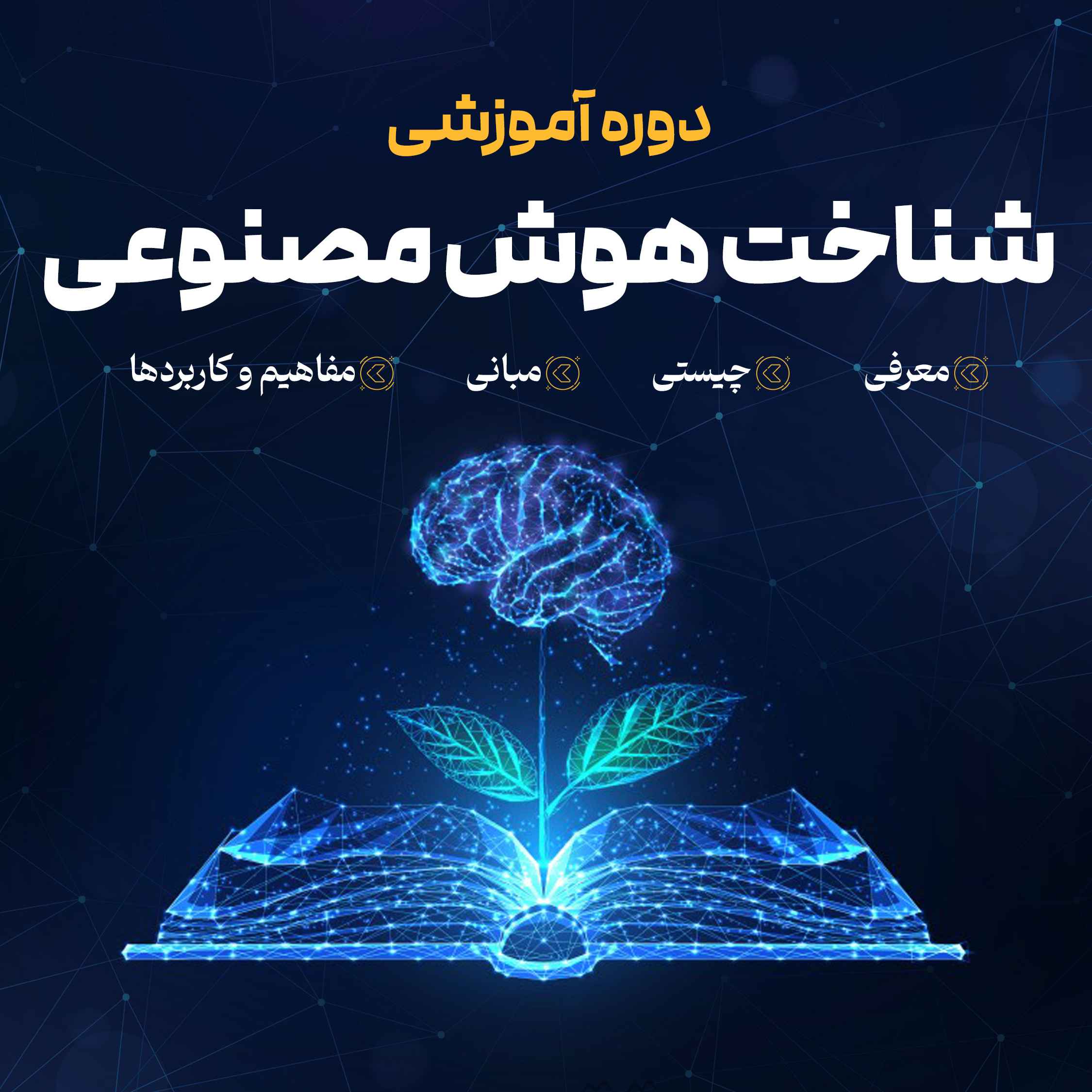 پی‌پینگ