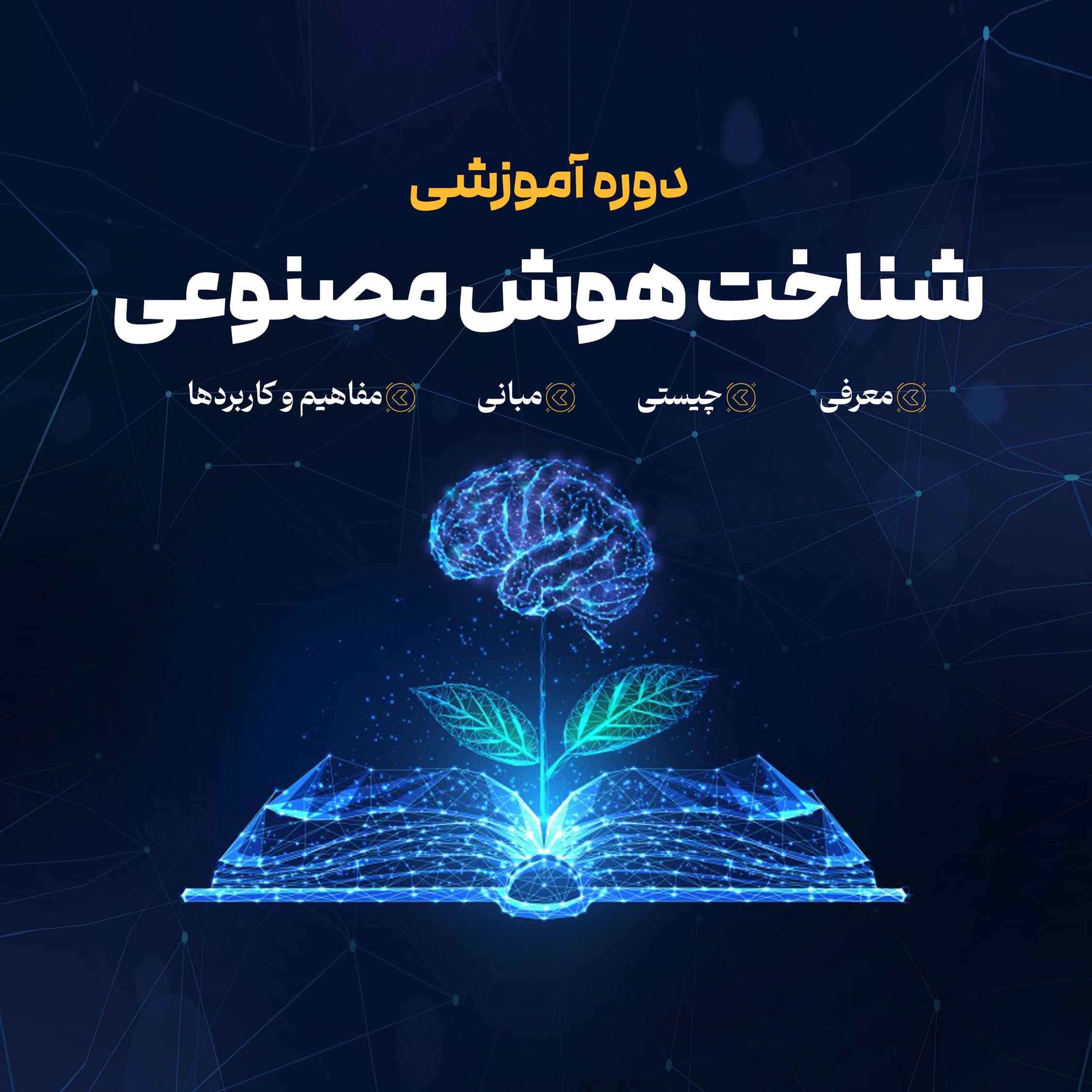 پی‌پینگ