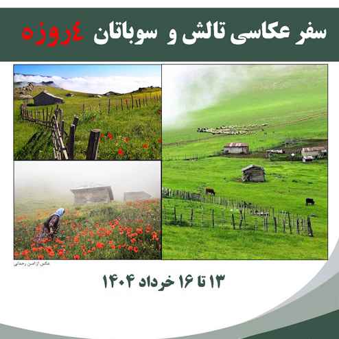 پی‌پینگ