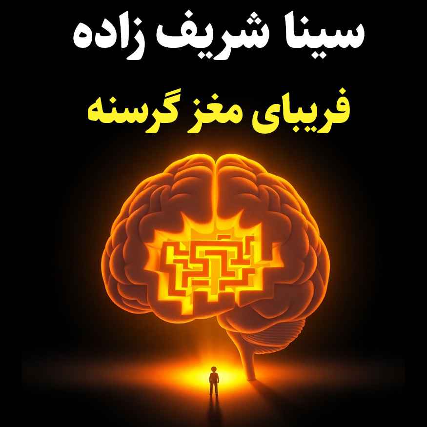 پی‌پینگ